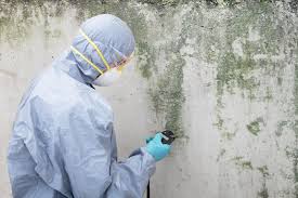 Why you should choose our mold remedi tion services in #city